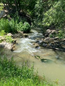 Babbling creek