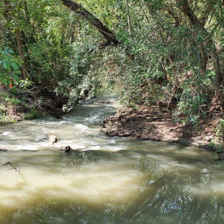 Medio Creek Baby Whitewater